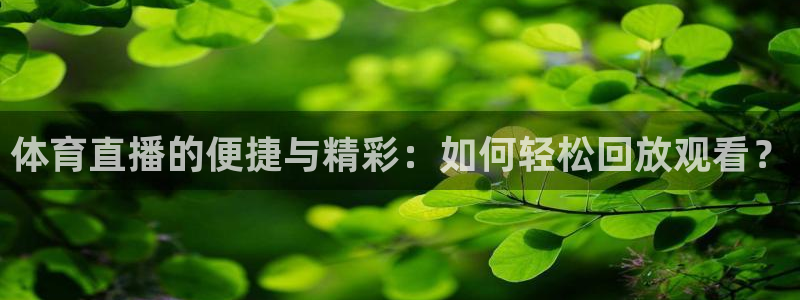88看球网nba在线直播观看