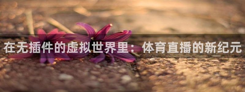 88看球nba直播视频在线直播官网