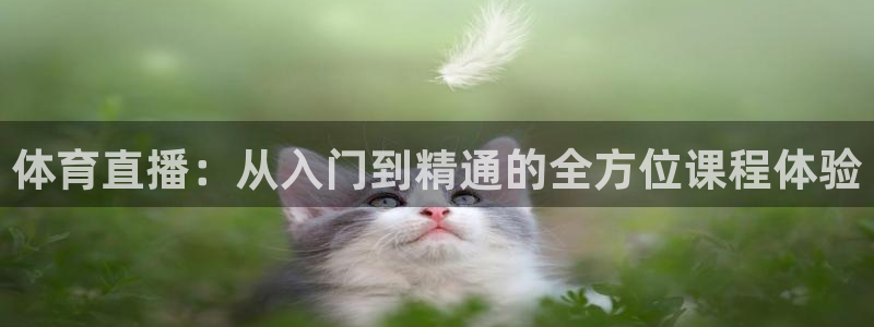 188看球直播官网入口