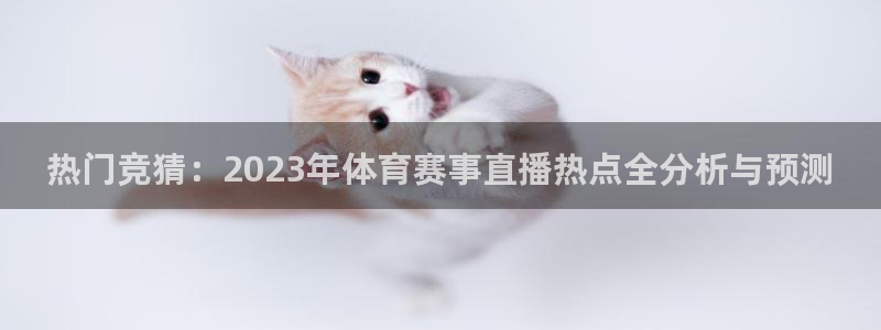 88看球nba免费直播