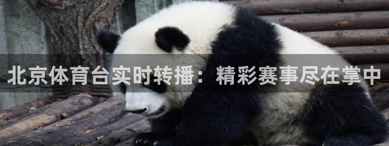 88看球直播在线观看