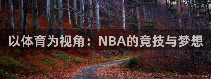 88看球直播足球比赛：以体育为视角：NBA的竞技与梦想