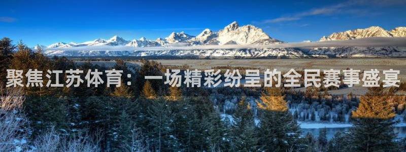 nba直播免费88看球：聚焦江苏体育：一场精彩纷呈的全民赛事盛宴