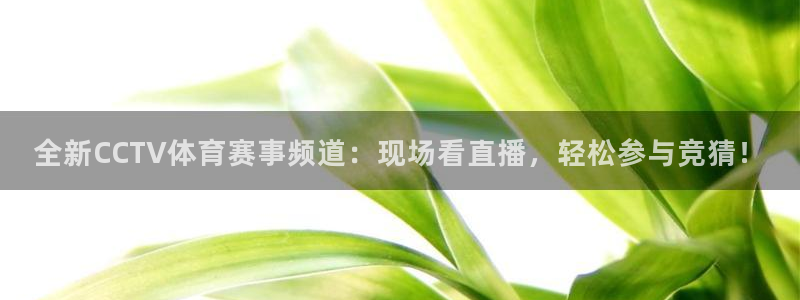 88看球nba足球直播：全新CCTV体育赛事频道：现场看直播，轻松参与竞猜！