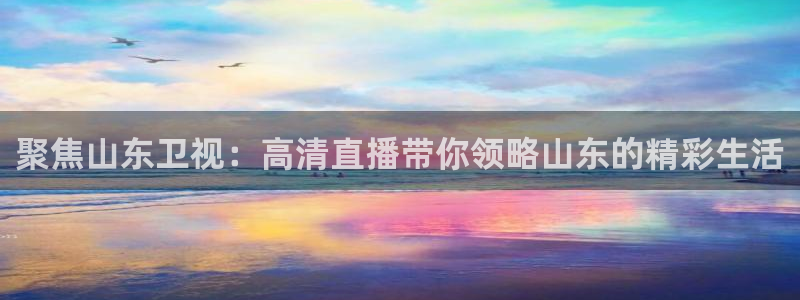 nba直播在线观看88看球官网：聚焦山东卫视：高清直播带你领略山东的精彩生活