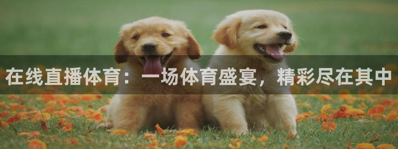 88看球直播无插件nba：在线直播体育：一场体育盛宴，精彩尽在其中