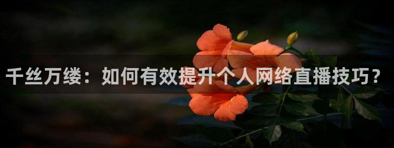nba直播在线观看88看球官网：千丝万缕：如何有效提升个人网络直播技巧？