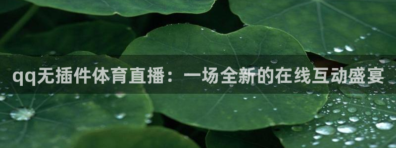 88看球直播吧：qq无插件体育直播：一场全新的在线互动盛宴