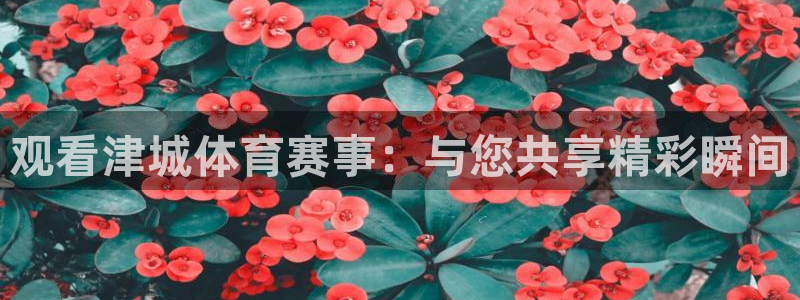 nba直播免费观看直播在线88看球：观看津城体育赛事：与您共享精彩瞬间