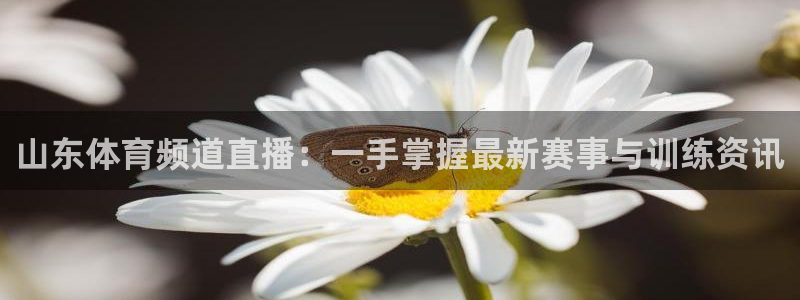 88看球在线看nba：山东体育频道直播：一手掌握最新赛事与训练资讯